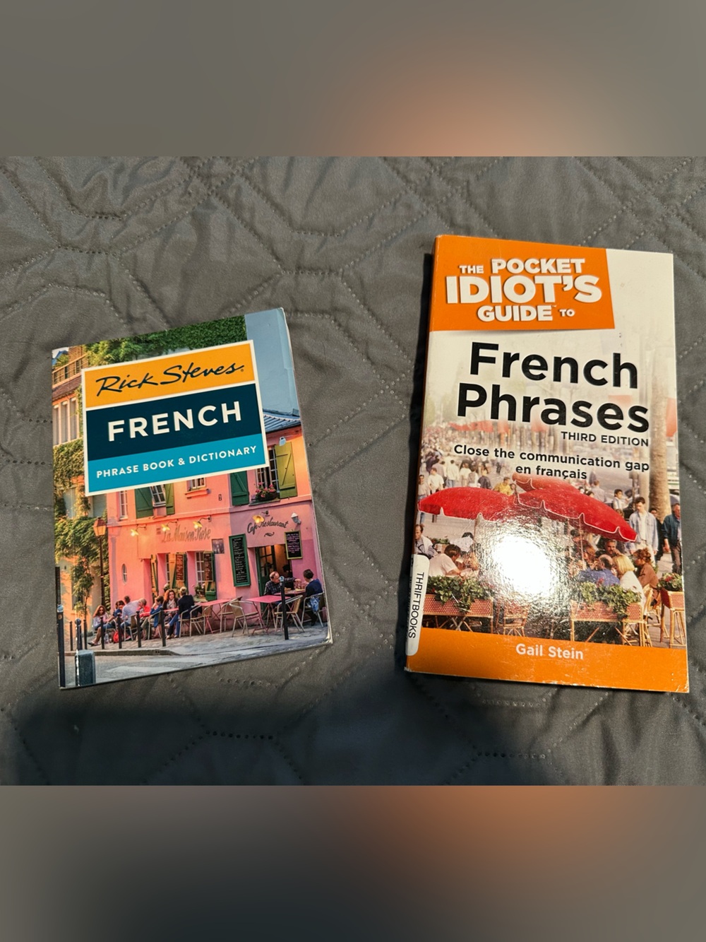 French Phrase Book & Dictionary